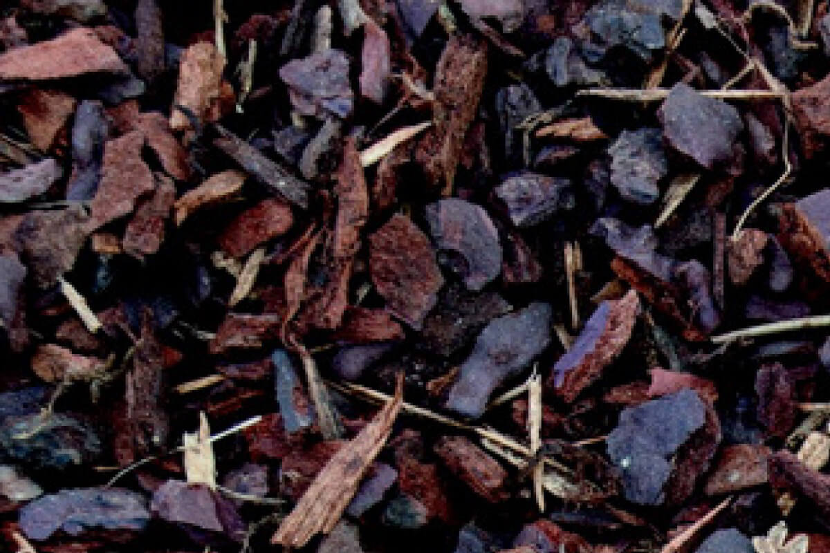 Raw material for special mixture, pine bark