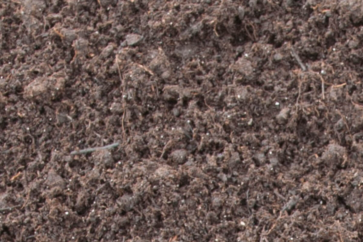 Raw material for special mixture, black peat